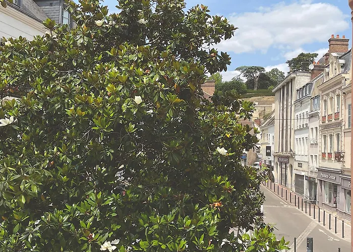 Vue Royale, Coeur Ville, Lumineux #5